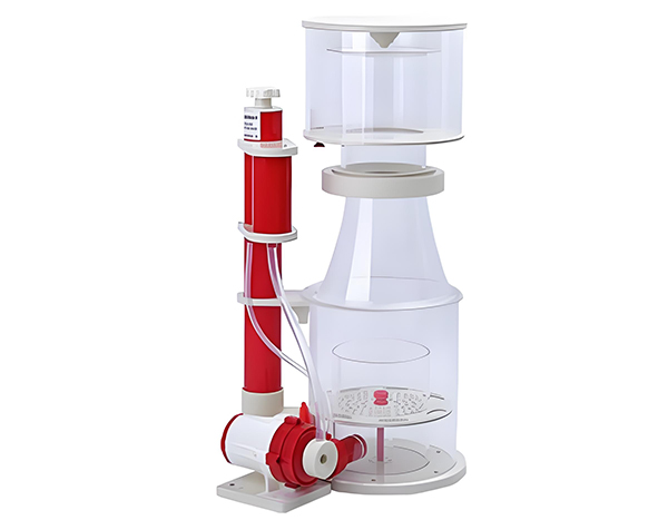 直流蛋白质分离器
